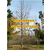 石榴树,阳光银杏苗圃场,16公分石榴树缩略图1