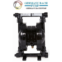 进口铸钢气动隔膜泵_AAA德国巴赫工业BACH