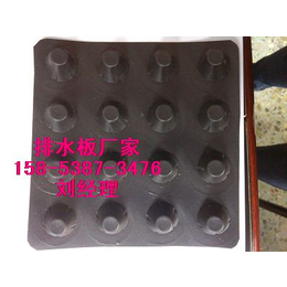 天津2公分3公分6公分塑料排水板厂家15853873476