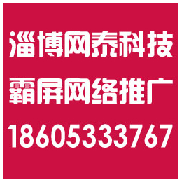 淄博网络推广、淄博网泰科技、张店网络推广哪家****