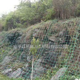 贵州修文 植物攀爬网 山体护坡绿化钢塑土工格栅 绿色土工格栅