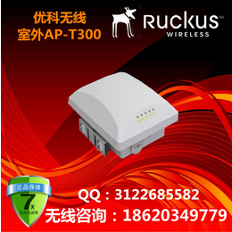 RuckusT300优科901-T300-WW01室外AP