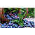 加州蓝莓浓缩果汁招商+加仑蓝莓浓缩果汁采购+蓝莓浓缩果汁趋势缩略图1