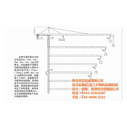 顶实机械(图)|山东塔吊价格|塔吊