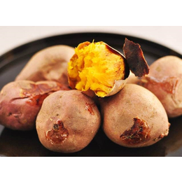 唐海红薯品种  元氏高产高淀粉甘薯供应