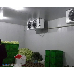水果蔬菜冷库价格,安徽蔬菜冷库,安徽徽雪(图)