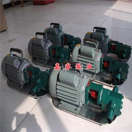 沧州嘉睿WCB75型手提泵 手提式电动试压泵