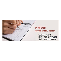 卓亚财务会计(图)|武汉会计代理记账电话|武汉会计代理记账