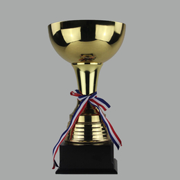 篮球足球比赛奖杯励志学院奖杯奖品销售供应