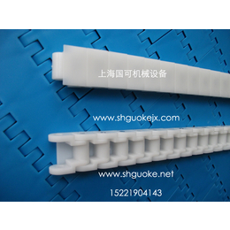 RS60P塑料链条-光伏塑料链条上海国可报价缩略图