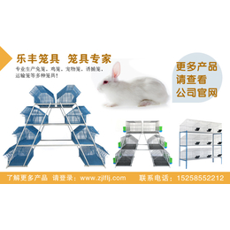 养兔自动化设备,乐丰笼具(图),绍兴养兔自动化设备