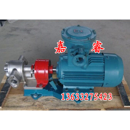 沧州嘉睿泵业现货销售KCB不锈钢齿轮油泵 型号齐全缩略图