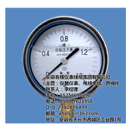 安徽春辉集团(图)、膜片压力表生产厂家、黑龙江膜片压力表