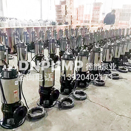 350WQ1100-38-185耦合器排污泵厂家