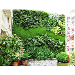 枫林可定制新款人造植物墙装饰墙垂直绿化适用于各种场所