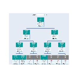  平凉*系统软件           