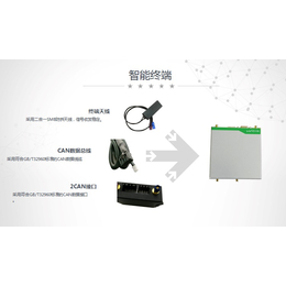 车辆行车轨迹查询 新能源汽车远程*监控平台 实时数据分析