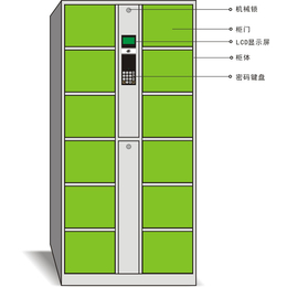 车站保管柜|东莞保管柜|强固