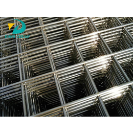 不锈钢钢丝网、东川丝网(在线咨询)、钢丝网