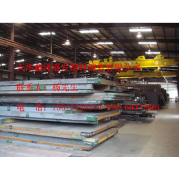 齐齐哈尔耐低温钢板供应商 Q345C合金钢板零售批发缩略图