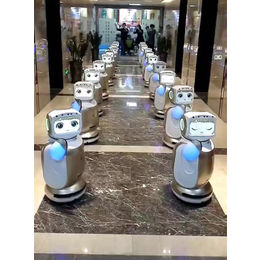 小宝机器人|【河南卡伊瓦】|杭州小宝机器人价格