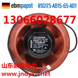 德国EBM R1G175-AB15-65 A01