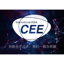 2018年北京国际消费电子展缩略图