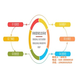 广州网站建设|索牛科技|企业网站建设运营