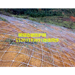 钢丝绳边坡防护用网厂家*|钢丝绳边坡防护网价格