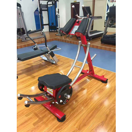 奥信德AXD-116健腹机健身房商用健腹训练器