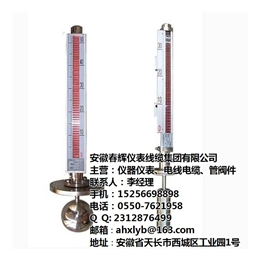 压力式液位计哪家好、安徽春辉集团、北京压力式液位计