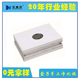 山东宏鑫源(图)、纸蜂窝洁净板生产厂家、纸蜂窝洁净板