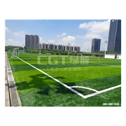 人造草|CGT绿城|广州绿城人造草
