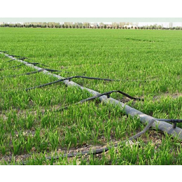 合肥灌溉设备、灌溉设备多少钱、安徽安维(****商家)