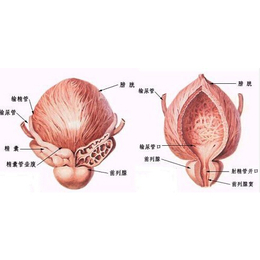 永康看*哪里好