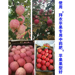 苹果树施叶面肥时间,岚县叶面肥,拜农生物(在线咨询)