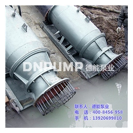 德能泵业公司(图)|潜水贯流泵安装说明|天津潜水贯流泵