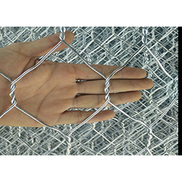 广西镀锌石笼网|威友丝网|镀锌石笼网多少钱一米
