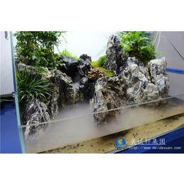 美达轩桌面家用景观水陆缸办公室超白玻璃生态植物氧吧创意小鱼缸
