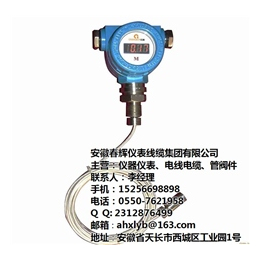 温度变送器厂_江西温度变送器_安徽春辉集团(查看)