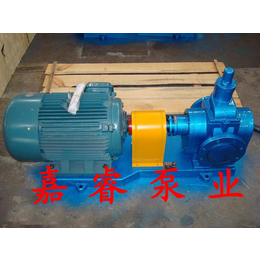 嘉睿泵业长期生产YCB1.6-0.6圆弧泵 输油泵 价格优惠 