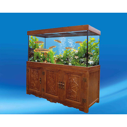 生态鱼缸加盟|海之星水族公司(在线咨询)|晋城鱼缸