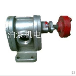 东莞齿轮泵销售 泊威2CY系列不锈钢齿轮油泵 广东油泵