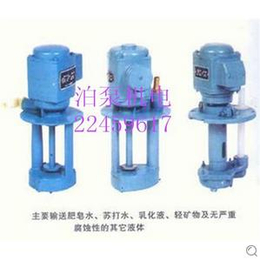 广东电泵销售 泊威机床冷却系列电泵 东莞泊威泵业缩略图
