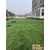 新沂人造草坪|无锡原野地毯(在线咨询)|人造草坪缩略图1