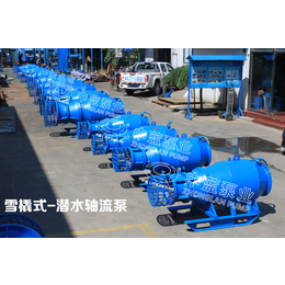 天津中蓝供应350雪橇式轴流泵