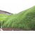 青海西宁山体边坡植草绿化喷播土壤保水剂粘合剂厂家销售缩略图1