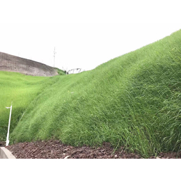 青海西宁山体边坡植草绿化喷播土壤保水剂粘合剂厂家销售