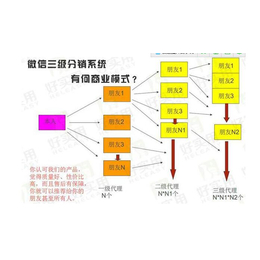 天津会员购物系统软件开发公司+*软件开发公司电话缩略图
