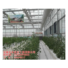 安徽农友(图)、智能温室造价、滁州智能温室